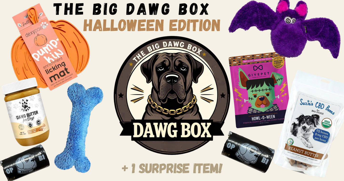 *PRESALE* The Big Dawg Box: Halloween HUGE BOX Edition