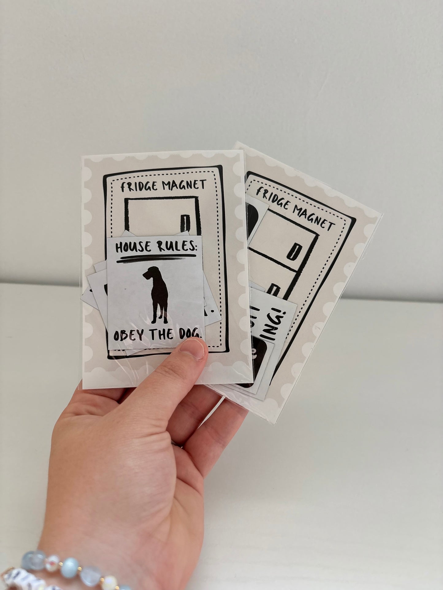 Fridge Magnet Set of 4 Random Misc.