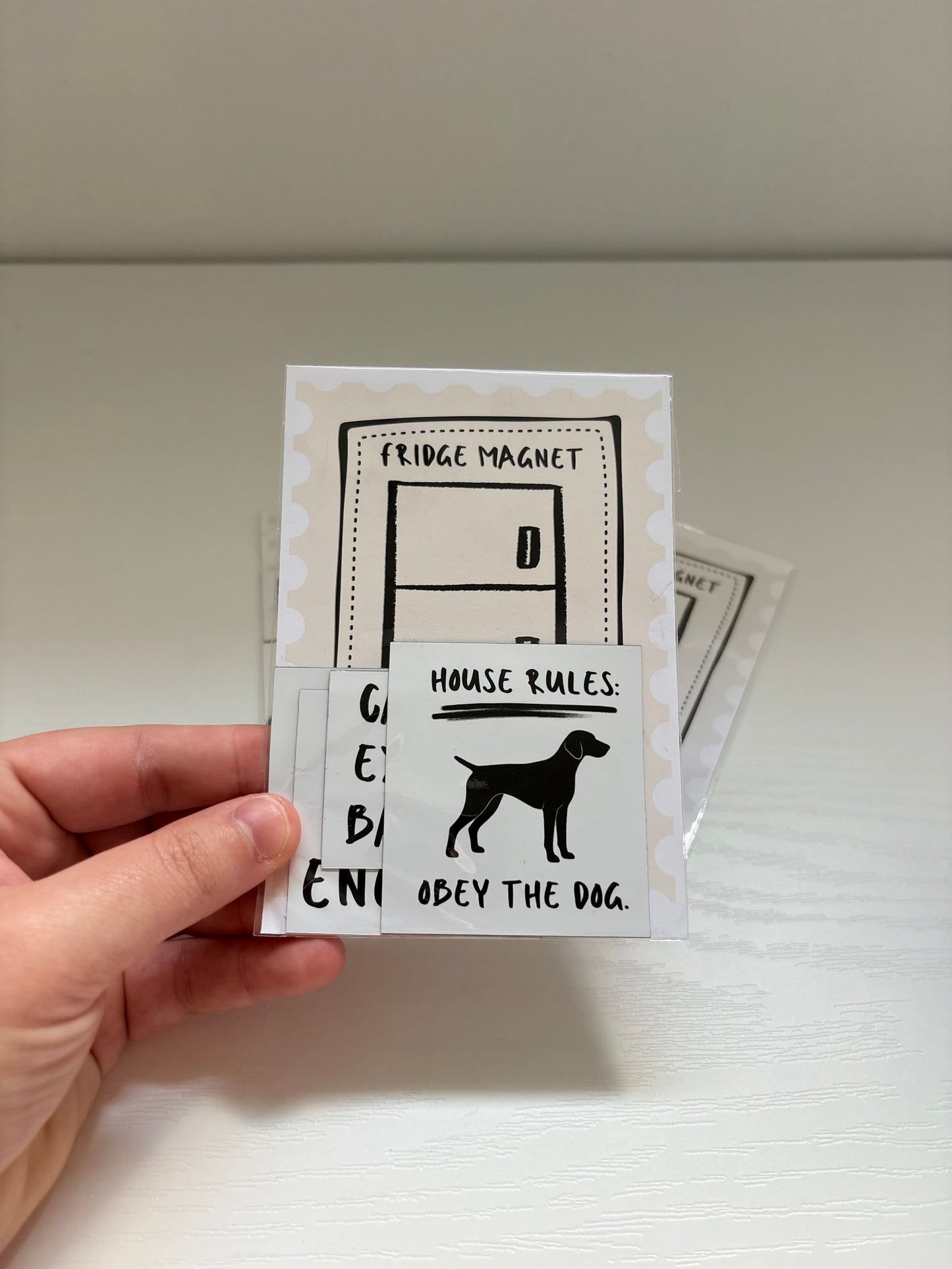 Fridge Magnet Set of 4 Random Misc.