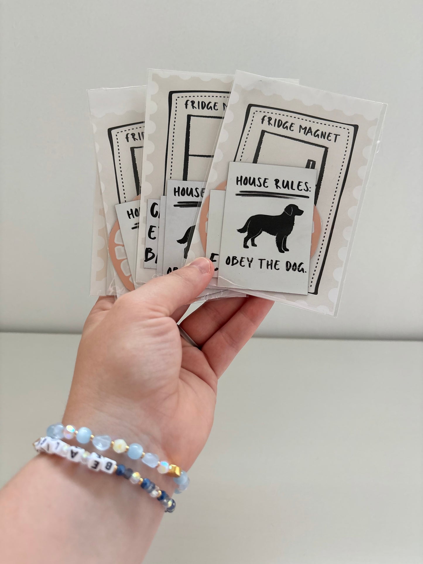 Fridge Magnet Set of 4 Random Misc.