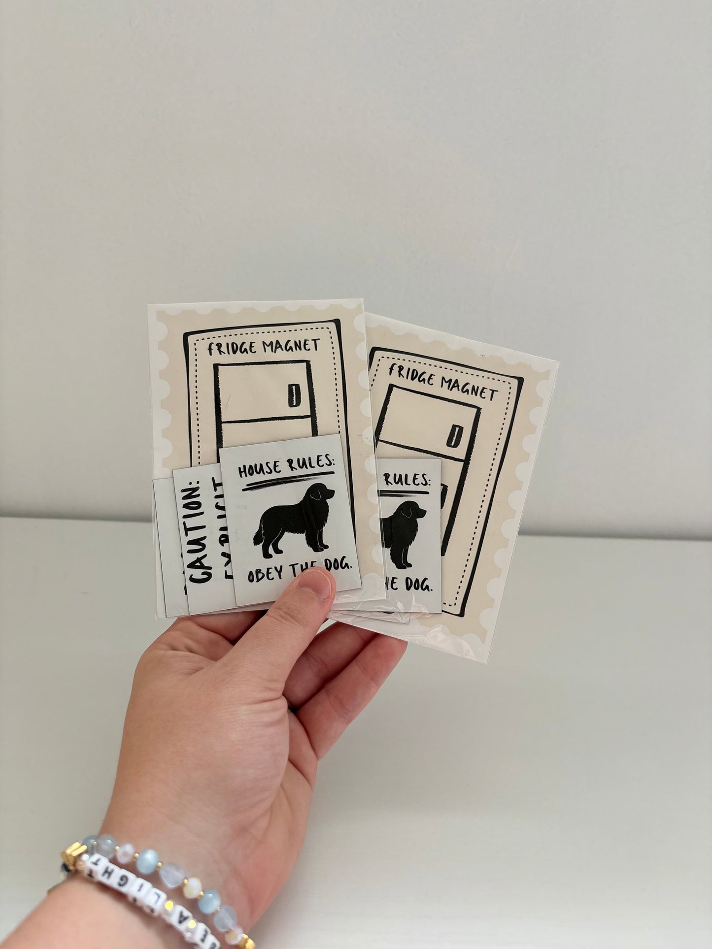 Fridge Magnet Set of 4 Random Misc.