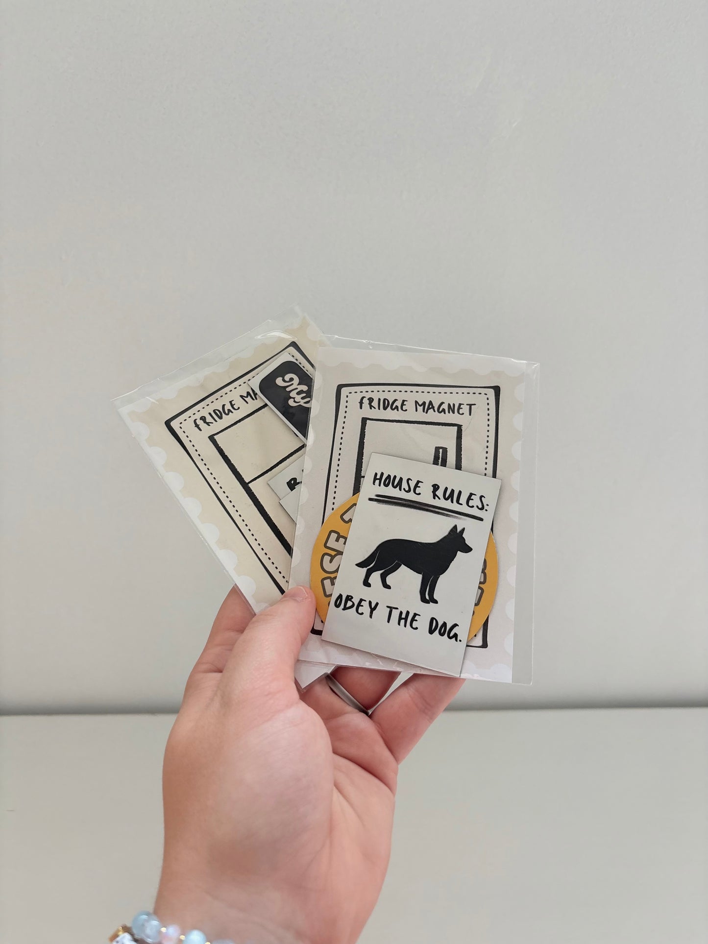 Fridge Magnet Set of 4 Random Misc.