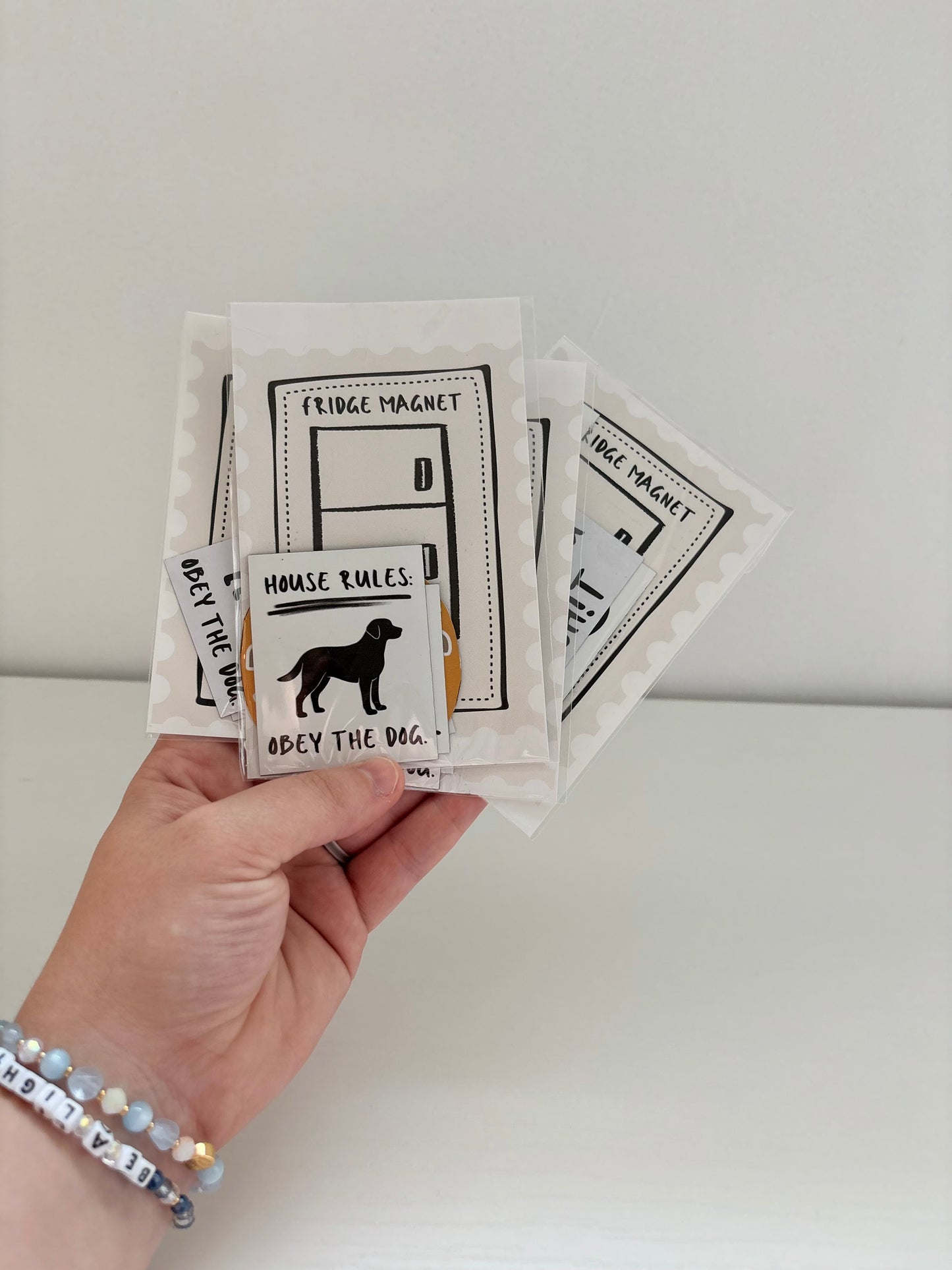 Fridge Magnet Set of 4 Random Misc.