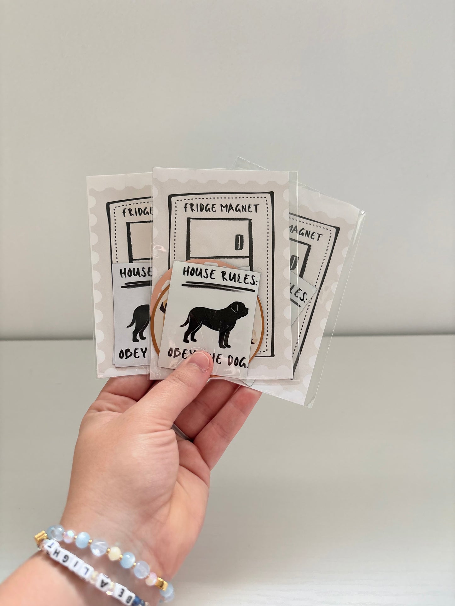 Fridge Magnet Set of 4 Random Misc.