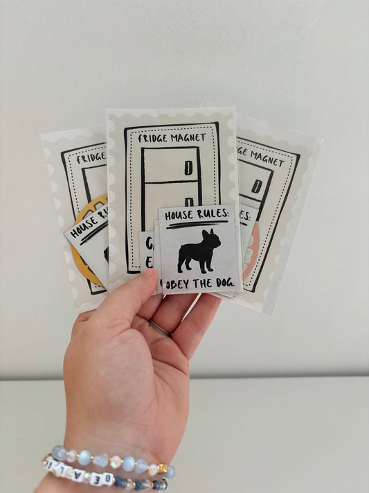 Fridge Magnet Set of 4 Random Misc.