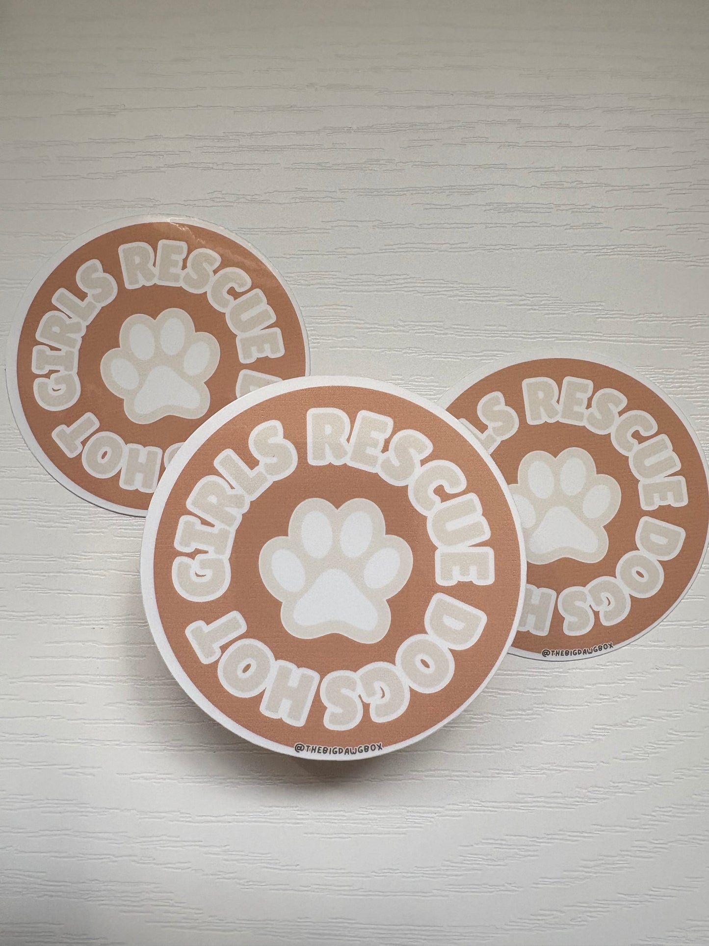 Hot Girls Rescue Dogs Pink Sticker