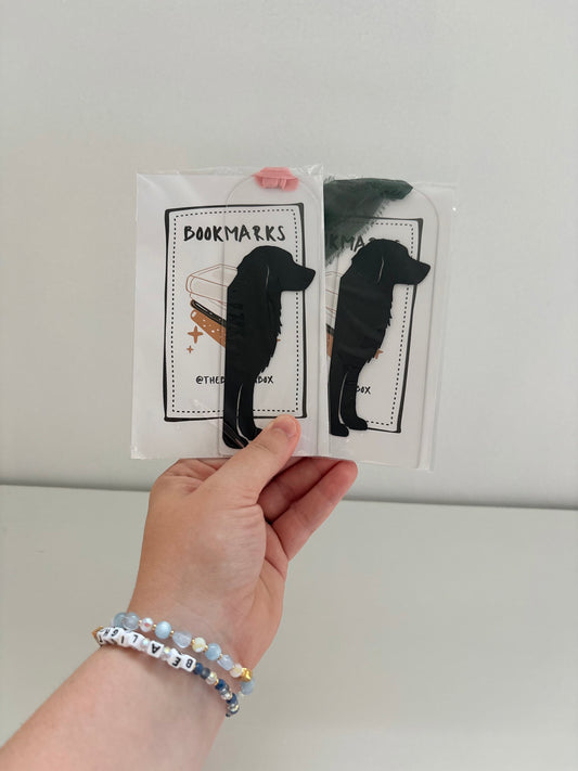 Acrylic Arch Bookmark