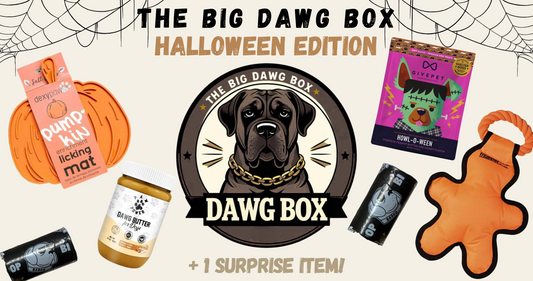 The Big Dawg Box: Halloween Edition